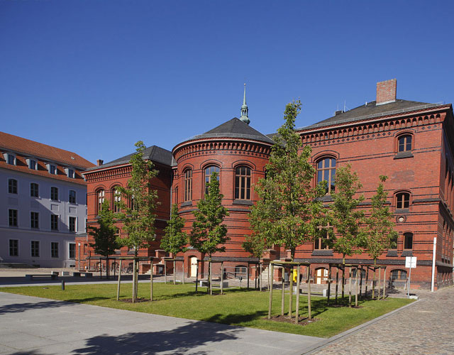 莫尔德大学学院